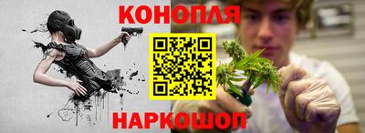 индика Тверь