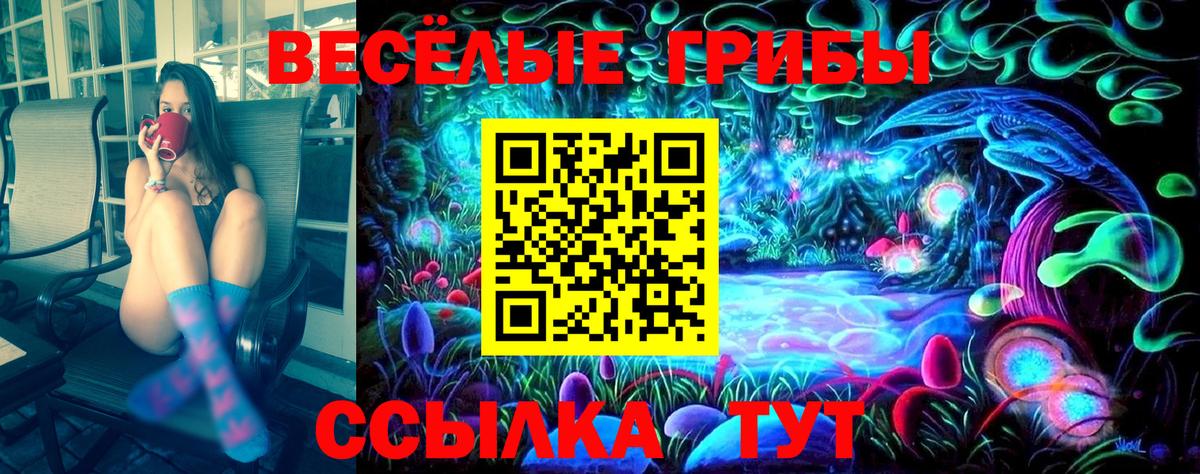 Павловский Посад  закладки  Вход с VPN  Псилоцибиновые грибы ЛСД 